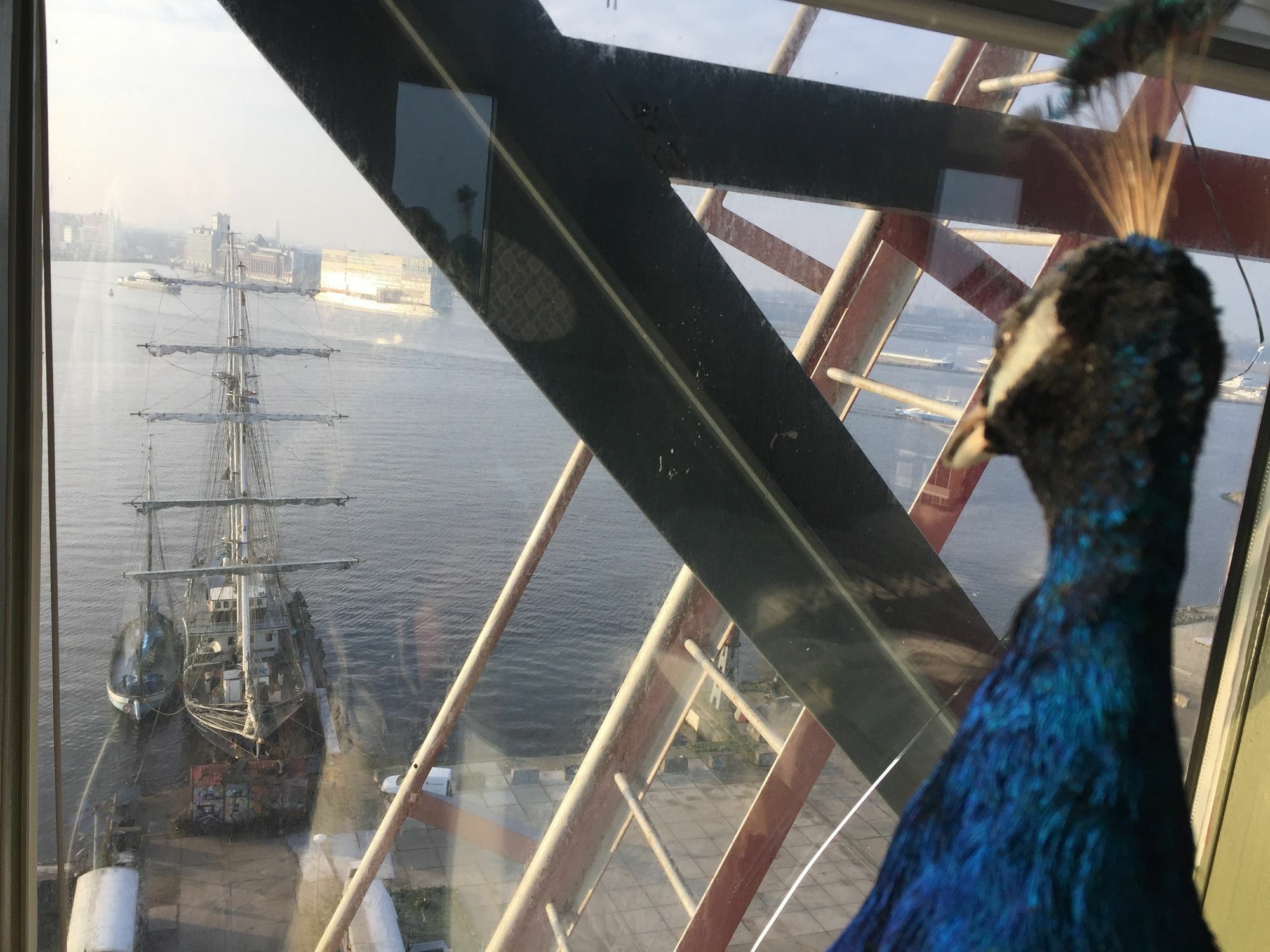 אמסטרדם Crane Hotel Faralda מראה חיצוני תמונה